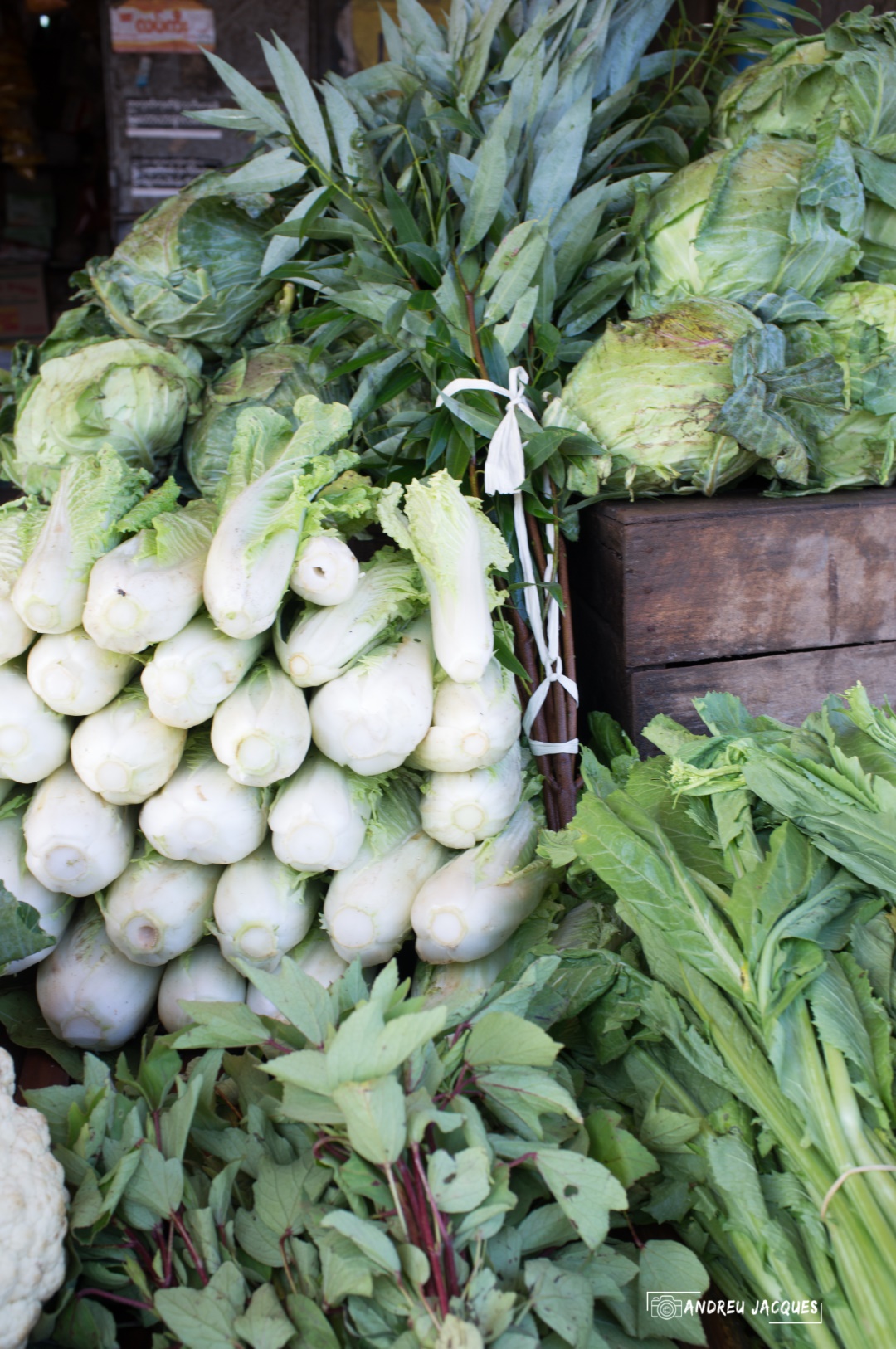 birmanie-154 (Grand).jpg